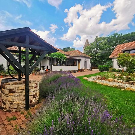 Apartament Videki Haz Tagyon Zewnętrze zdjęcie