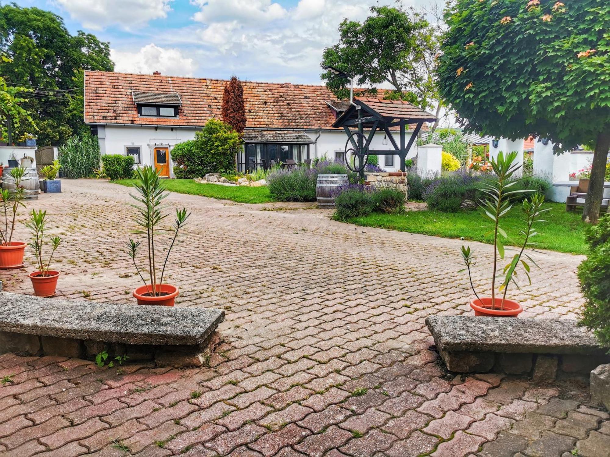 Apartament Videki Haz Tagyon Zewnętrze zdjęcie